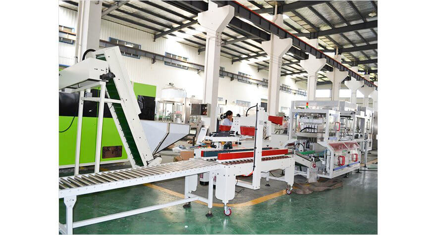 Carton packing machine